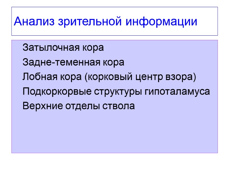 Анализ зрительной информации Затылочная кора Задне-теменная кора Лобная кора (корковый центр взора) Подкоркорвые структуры
